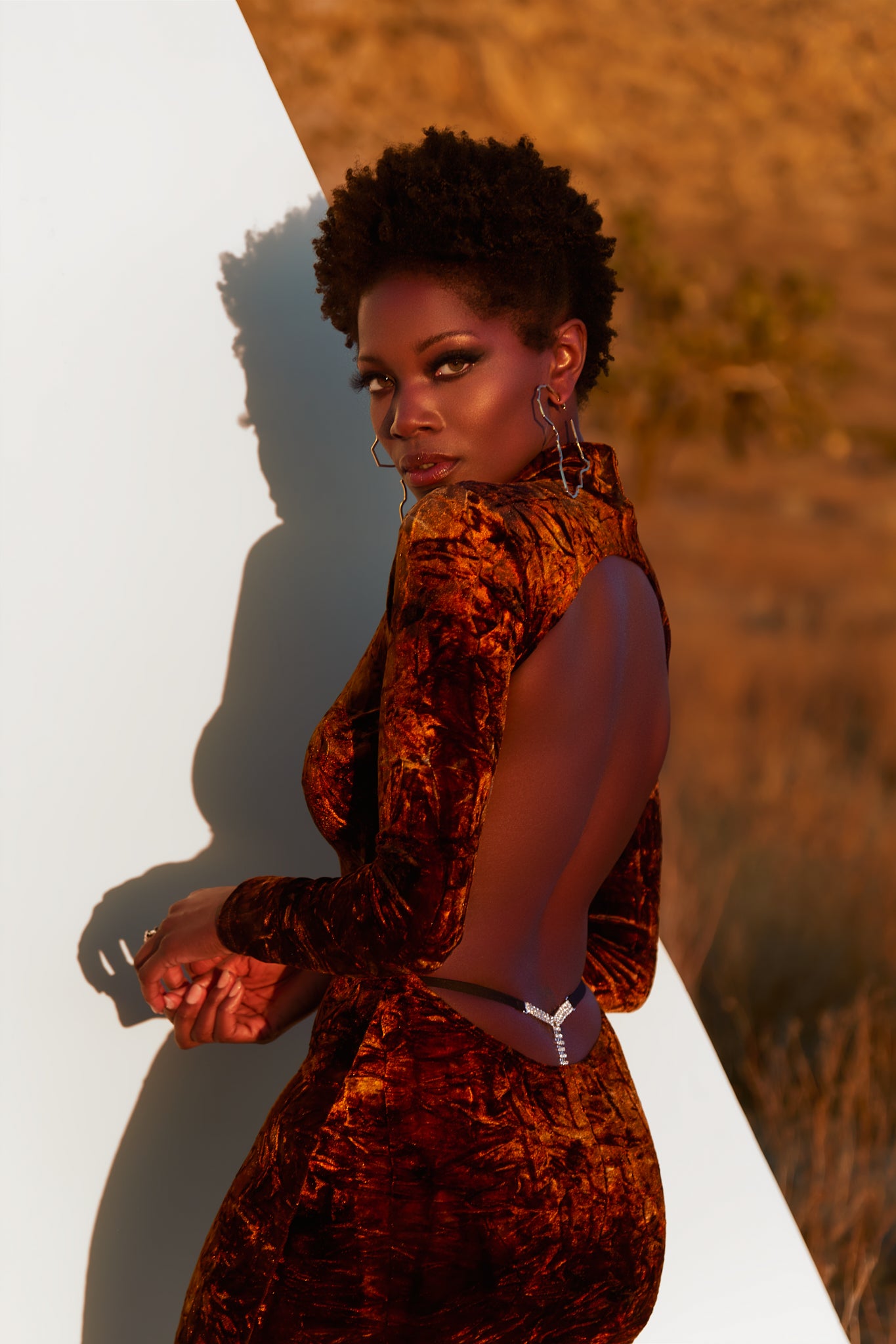 MARIA LOW BACK BROWN DRESS